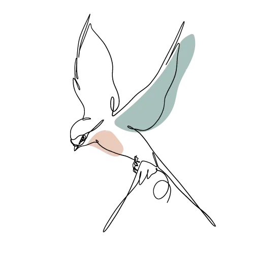 Ilustrație cu o rândunică în zbor