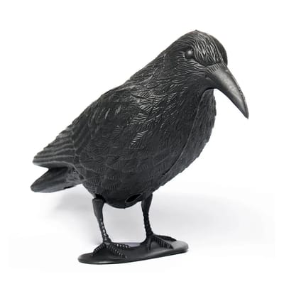 Corb 38 cm | Gonitor de păsări | Aderyn